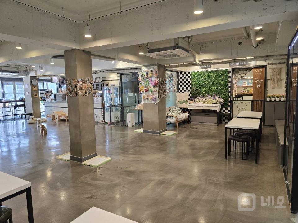강남권 최고 애견카페(호텔.놀이방.미용)!! 매물의 3번째 사진
