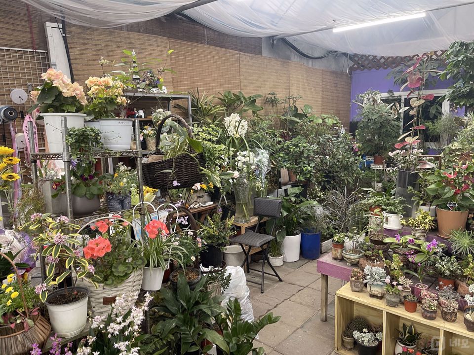 길동 화원거리, 포괄 양도양수 화원 매물의 2번째 사진