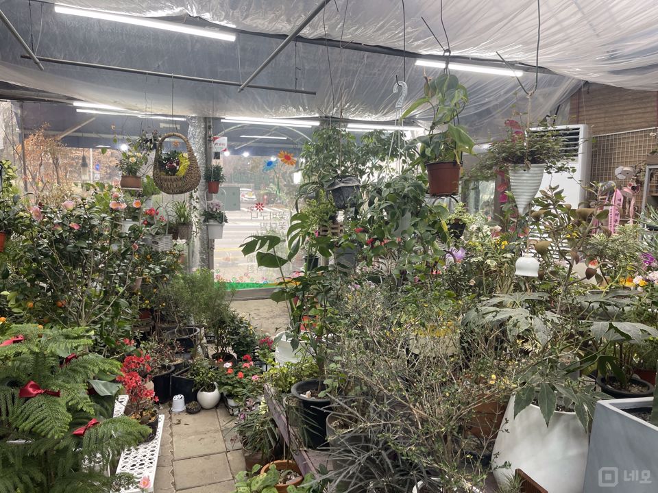 길동 화원거리, 포괄 양도양수 화원 매물의 4번째 사진