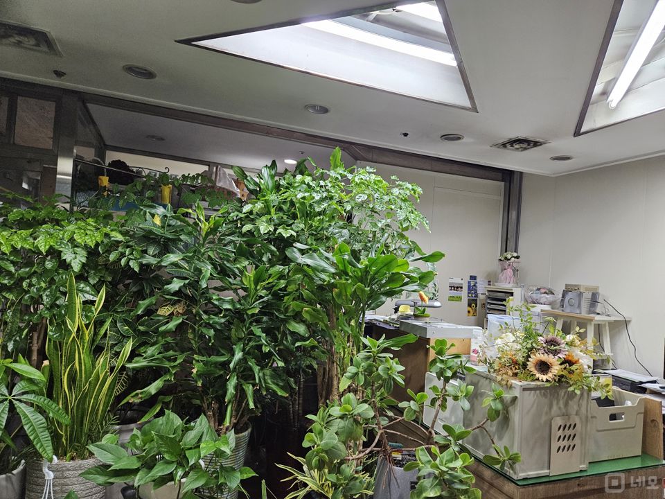 월세 저렴한, 한강로3가 지하1층 꽃집 매물의 1번째 사진