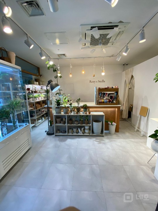 회현/명동 회사본점들 사이에 있는 꽃집이에요 매물의 1번째 사진
