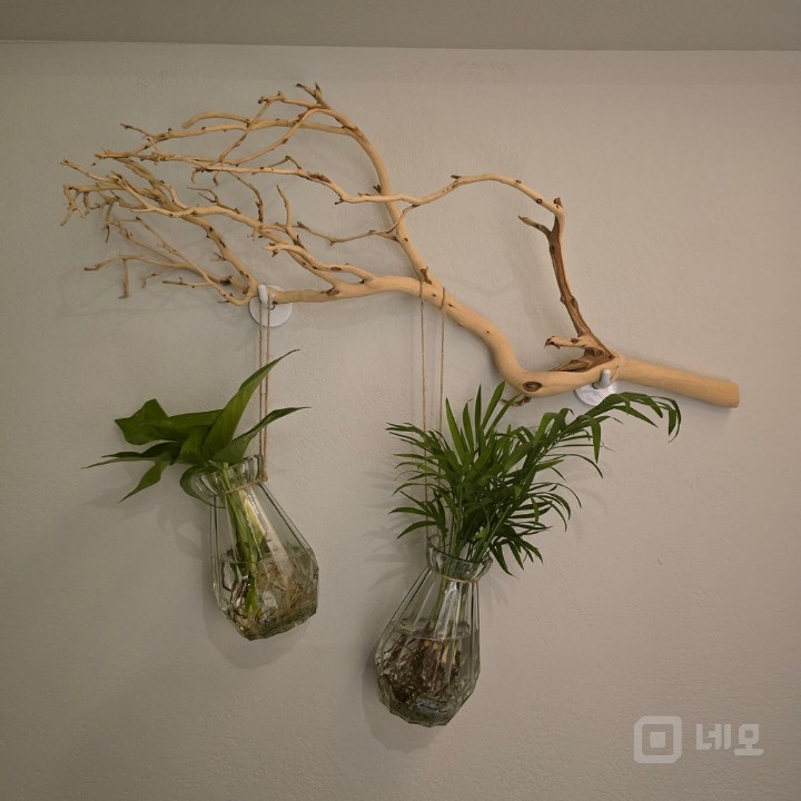 멋진 bar 찾으시는분 매물의 8번째 사진