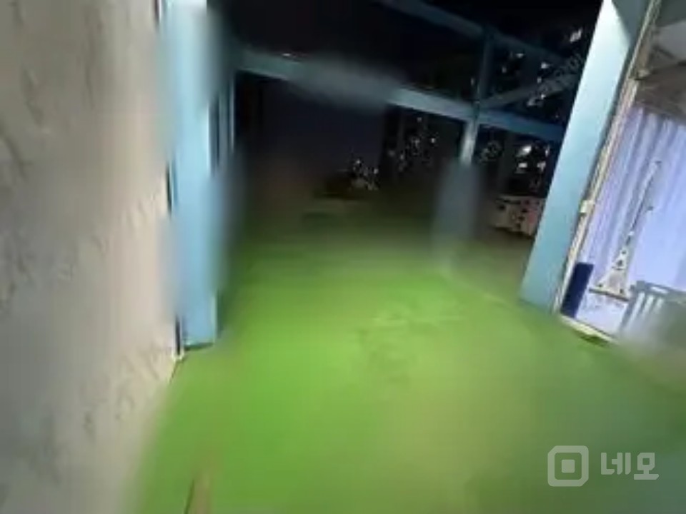 루프탑 전체 단독이용  6년동안 반려동물유치원으로 운영한곳 인수하실분 매물의 2번째 사진
