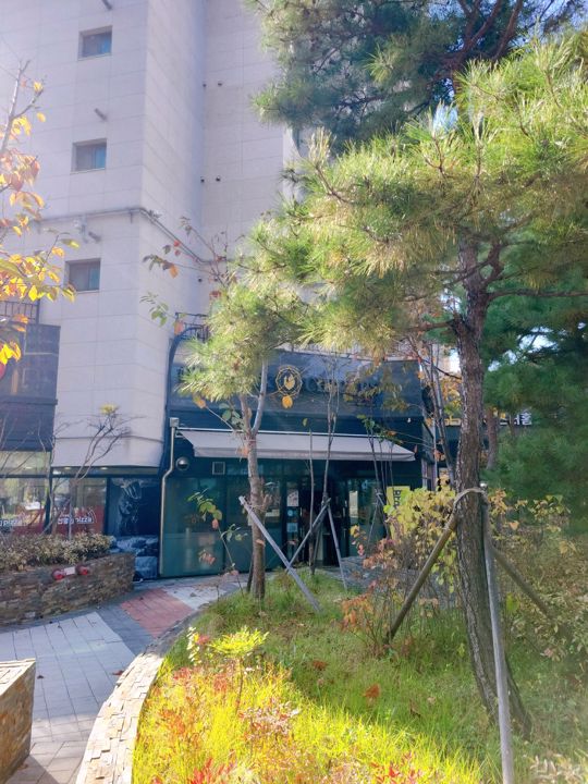 거여동 아파트 상가에 위치한 치킨 전문점 매물의 5번째 사진