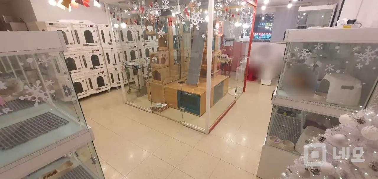 홍대 순익 1천 핫플레이스 고양이분양샵(애견) 양도 매물의 2번째 사진