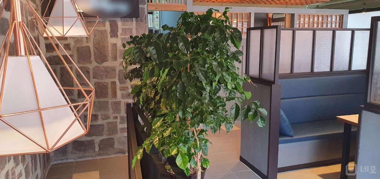 대로변 상권, 주목도 높은 신길동 음식점 매물의 3번째 사진