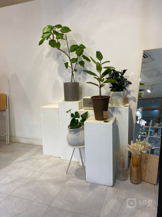 회현/명동 회사본점들 사이에 있는 꽃집이에요 매물의 3번째 사진