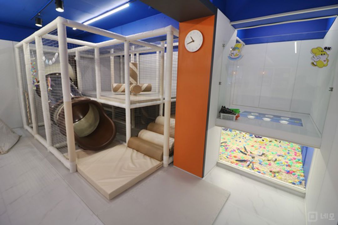 강서구 화곡동, 깔끔한 인테리어 및 시설 완비된 키즈풀 매물의 3번째 사진