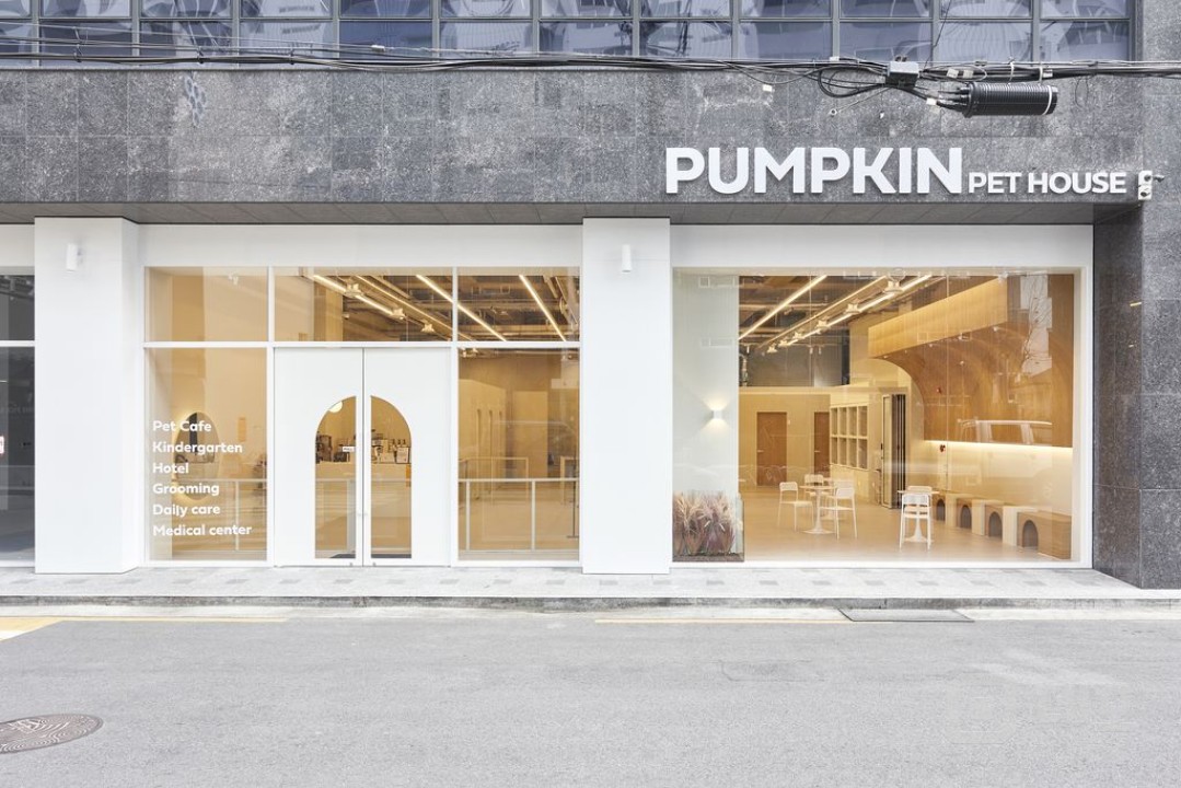 성수동 펫카페·유치원·호텔·미용매장 매각 매물의 5번째 사진