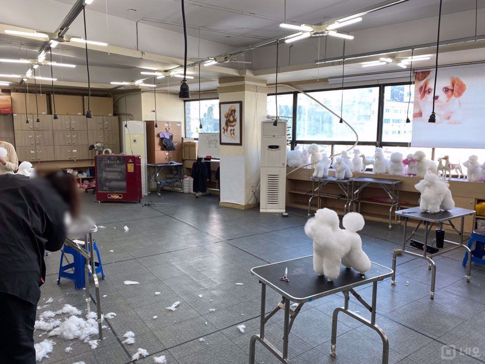 충무로 애견미용학원 매물의 5번째 사진