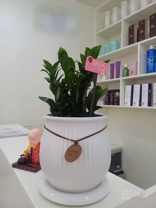 깔끔한 미용실 임대(25년5월 내부신규 인테리어) 매물의 2번째 사진