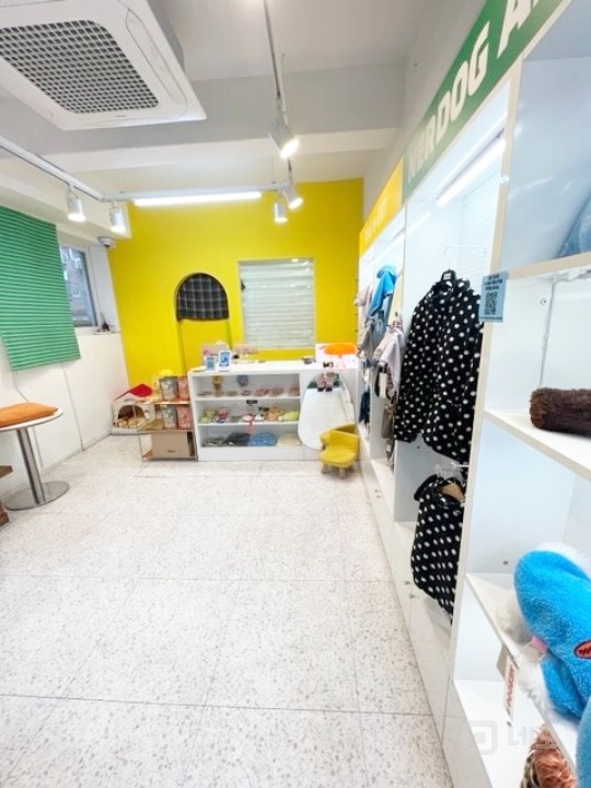 📍망리단길 핵심입지! 감성 애견소품샵 운영 중 – 1층 소형매장 임대 매물의 3번째 사진