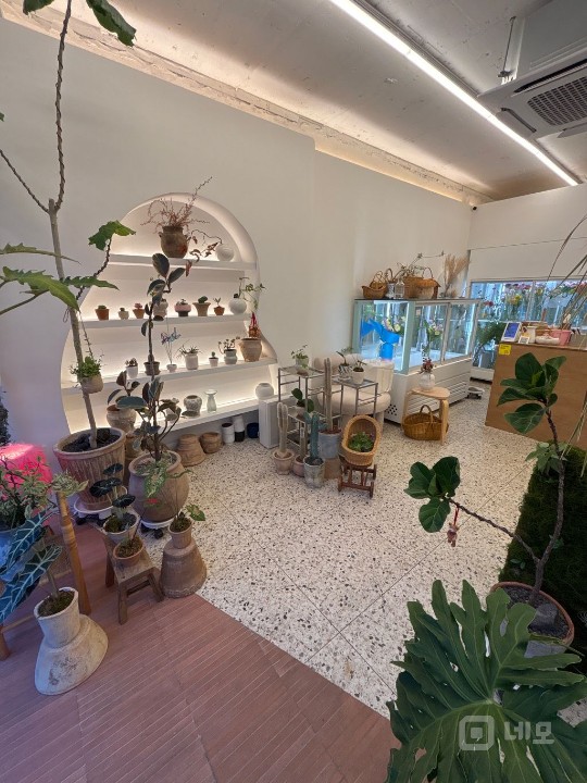 논현동 대로변 예쁜 상가 매물의 2번째 사진