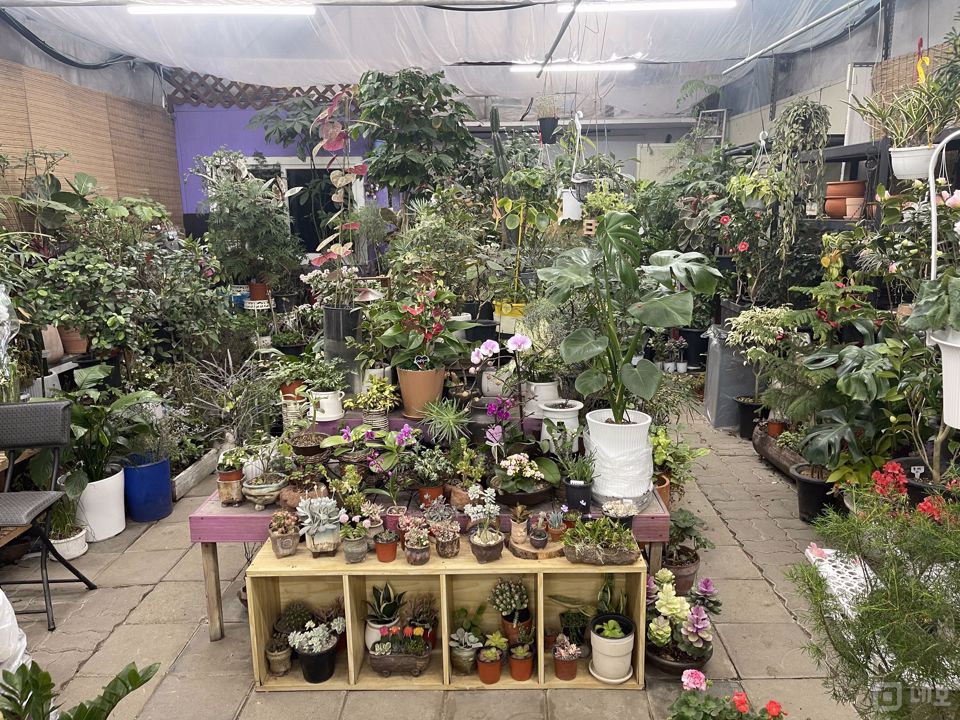 길동 화원거리, 포괄 양도양수 화원 매물의 1번째 사진