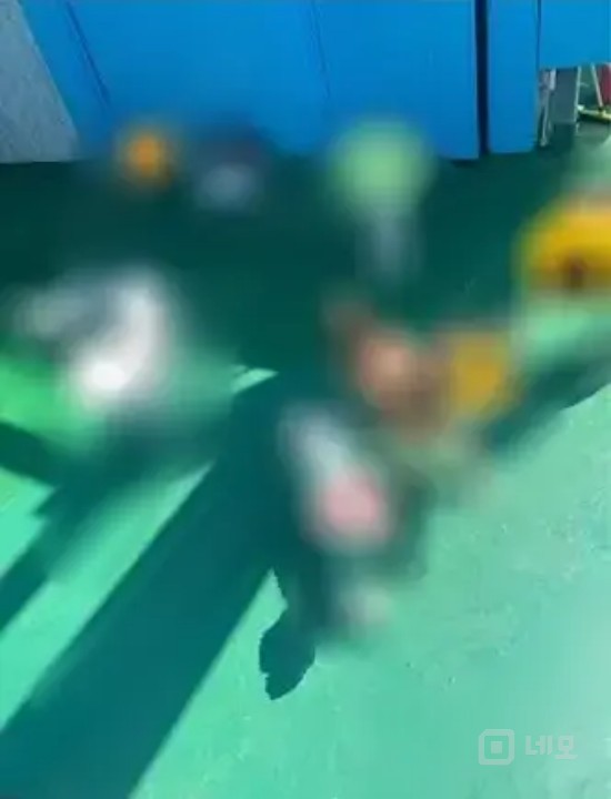 루프탑 전체 단독이용  6년동안 반려동물유치원으로 운영한곳 인수하실분 매물의 5번째 사진
