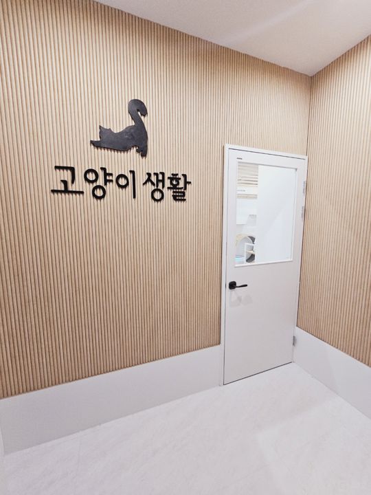 고양이호텔+미용실 룸20개 최신식 인테리어 매물의 11번째 사진