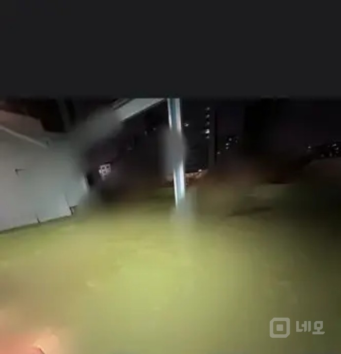 루프탑 전체 단독이용  6년동안 반려동물유치원으로 운영한곳 인수하실분 매물의 4번째 사진
