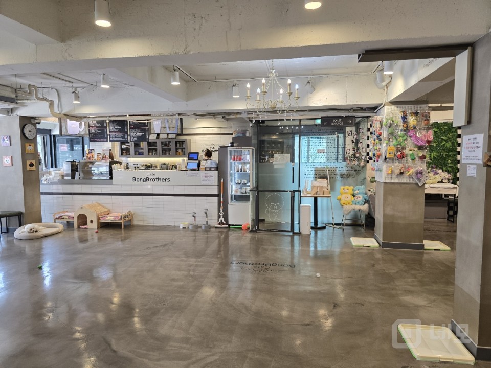 강남권 최고 애견카페(호텔.놀이방.미용)!! 매물의 10번째 사진