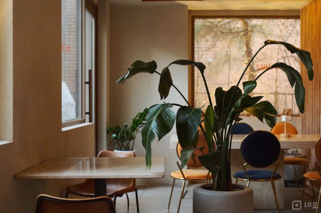 역삼역 역세권, 고급스러운 인테리어, SNS 핫플레이스인 와인바 매물의 3번째 사진