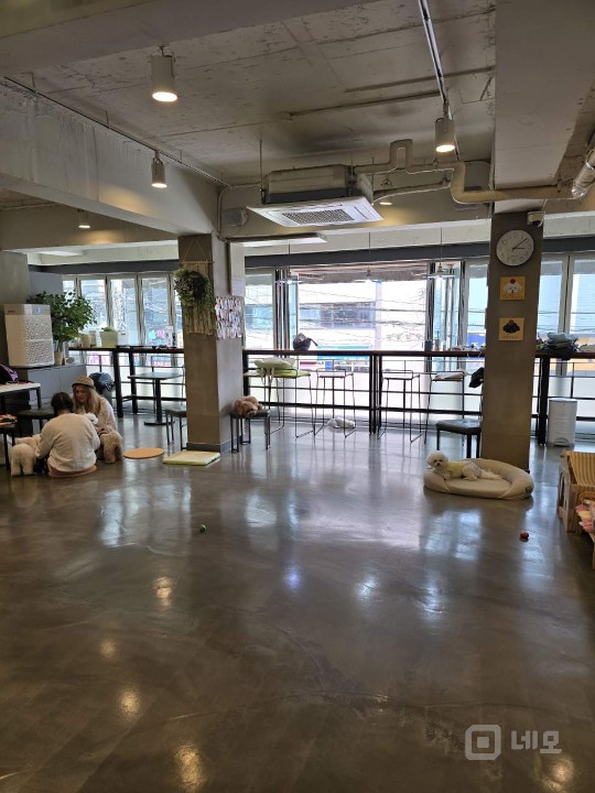 강남권 최고 애견카페(호텔.놀이방.미용)!! 매물의 9번째 사진