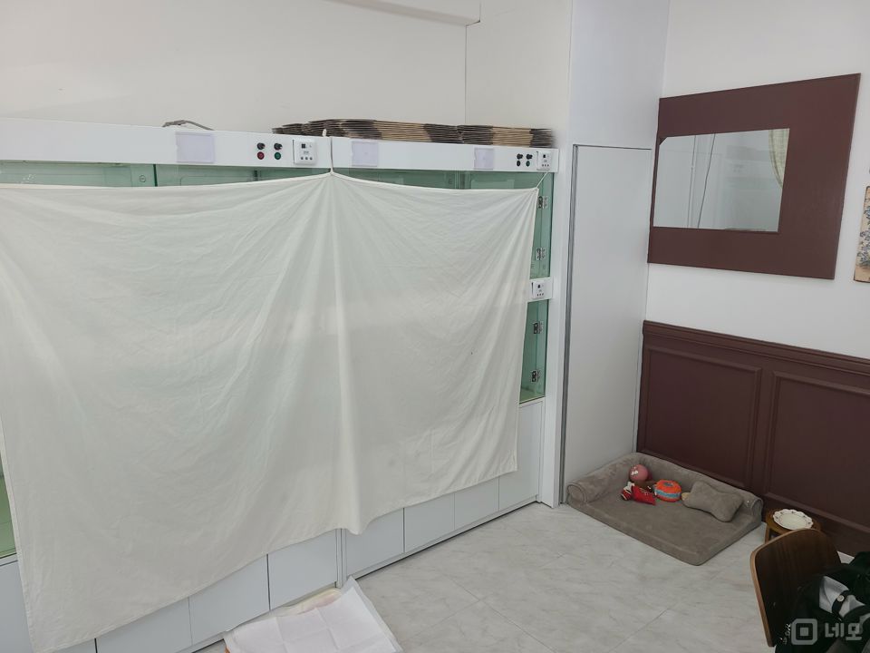 천호동 시설양도 가능한 애견샵 매물의 2번째 사진