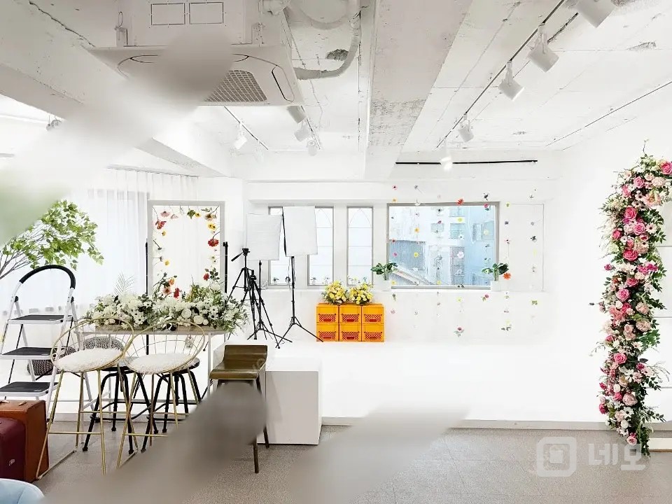 강남 자연광 플라워 호리존 컨셉 스튜디오 매물의 1번째 사진