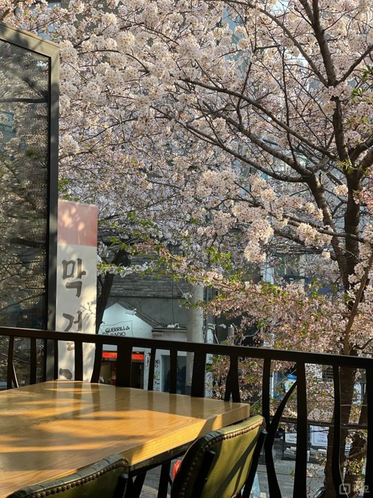 서교동 합정역 역세권, 입소문 듣고 찾아오는 민속주점 매물의 5번째 사진