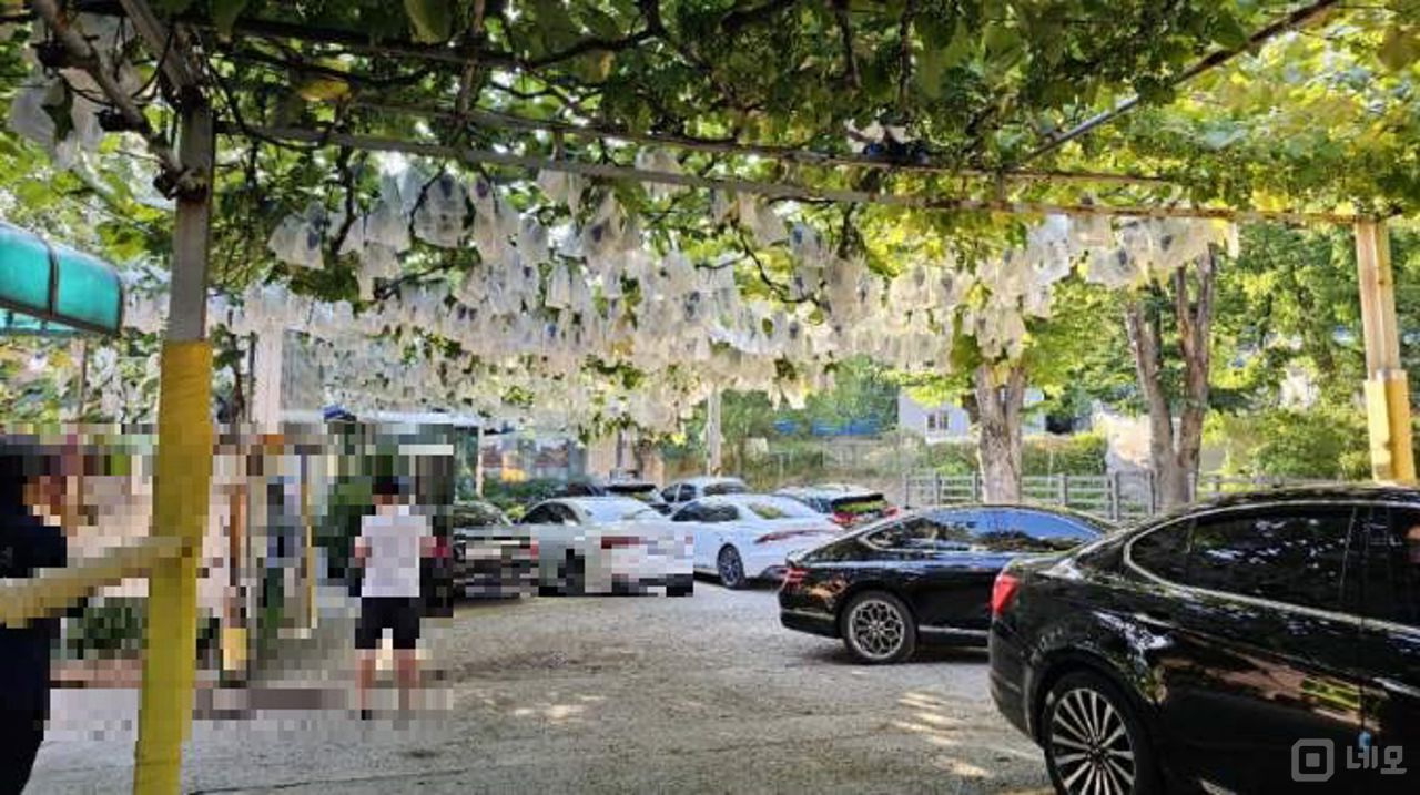 용주사 인근, 장사 잘되는 송산동 한식당 매물의 17번째 사진