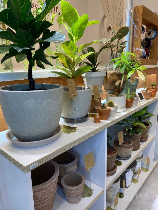 회현/명동 회사본점들 사이에 있는 꽃집이에요 매물의 4번째 사진