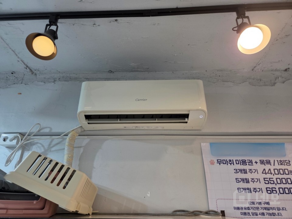 GATE 망원동 망리단길 메인 노출성 좋은 버스정류장 앞 1층 소형 상가 매물의 10번째 사진