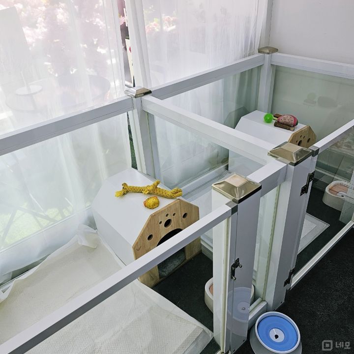 논현동 선정릉역 역세권, 입소문 듣고 찾아오는 반려동물미용샵 매물의 4번째 사진