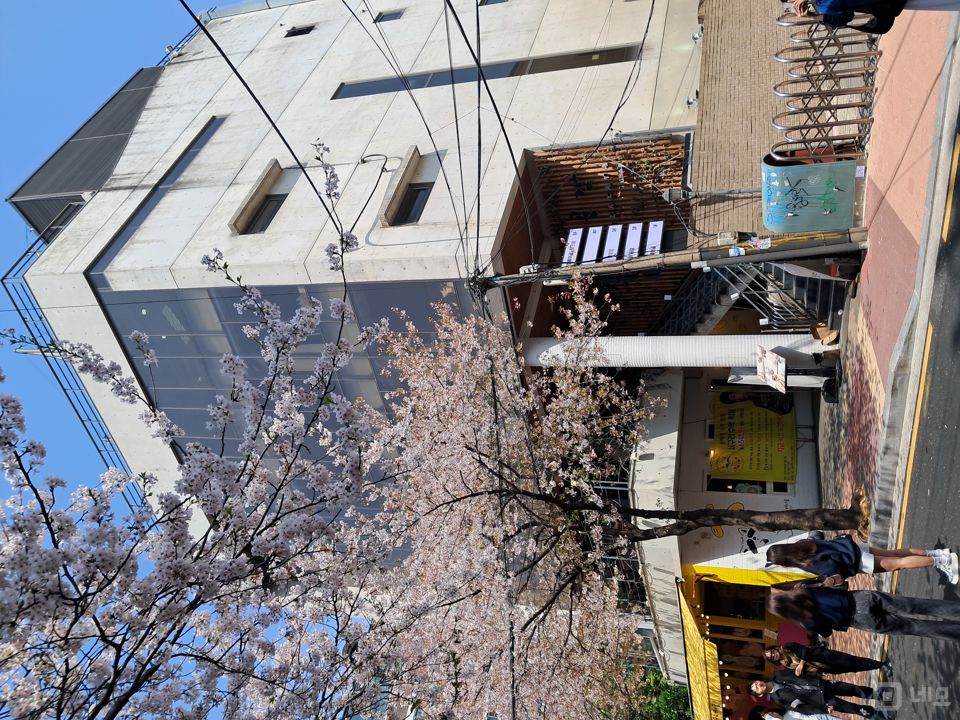 유동인구 많은 합정벚꽃길  홍대 레드로드 인근 무권리 상가 매물의 5번째 사진