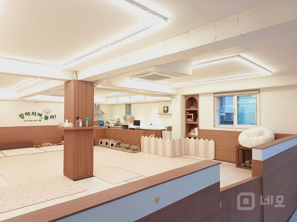 황학동 유일 애견 샵 매물의 3번째 사진