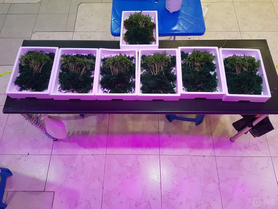 시설 집기 포함, 노하우 전수 수유동 수경재배 매물의 7번째 사진