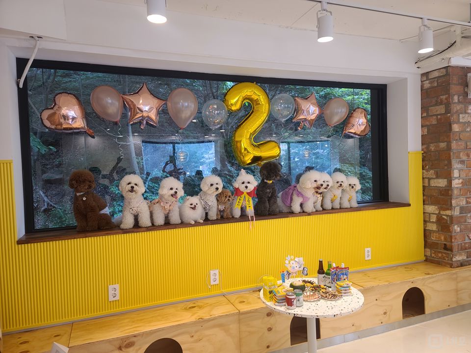 인테리어 및 시설 완비, 뷰가 예쁜 동두천 탑동동 애견카페 매물의 5번째 사진