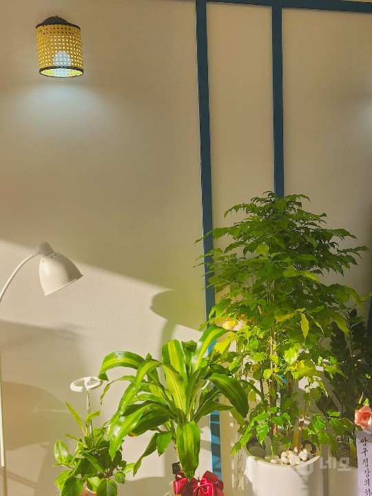 [송파구카페급매!] 문정역 17평 카페 양도양수합니다.  매물의 4번째 사진