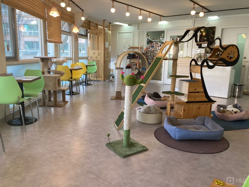 역삼동 주택가 단지 인테리어 좋은 고양이 카페 매물의 6번째 사진