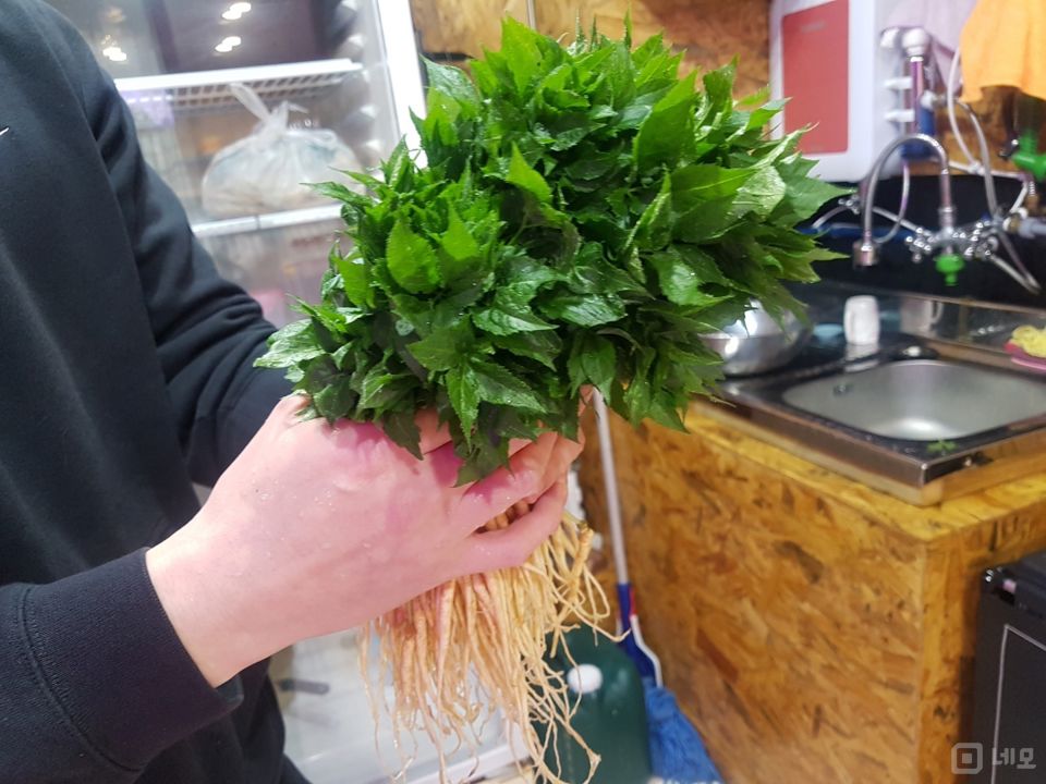 시설 집기 포함, 노하우 전수 수유동 수경재배 매물의 9번째 사진