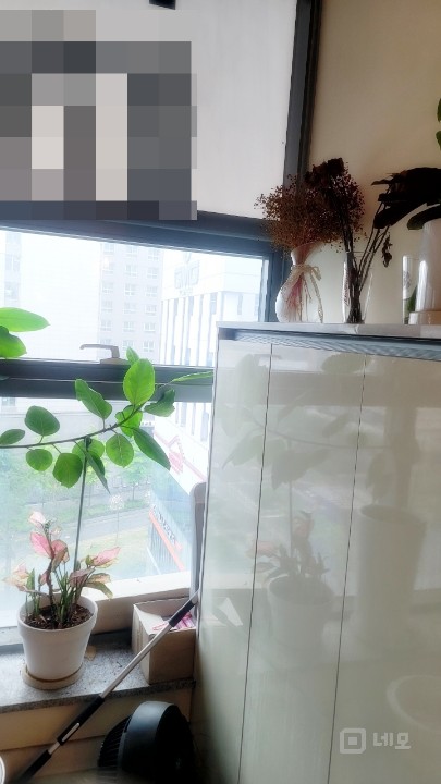 🎁룸2개, 싱크대 설치, 높은 층고, 유동인구 풍부 매물의 5번째 사진