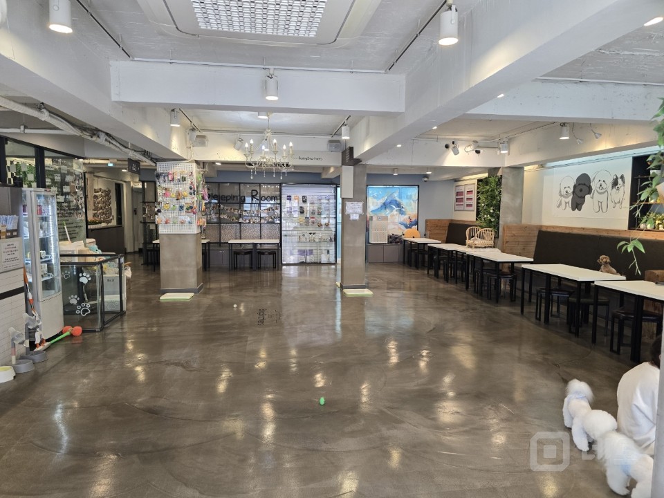 강남권 최고 애견카페(호텔.놀이방.미용)!! 매물의 13번째 사진