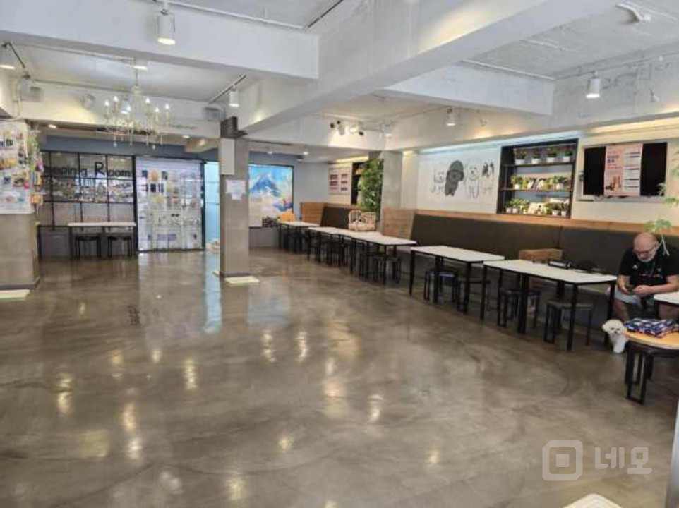 강남권 최고 애견카페(호텔.놀이방.미용)!! 매물의 2번째 사진