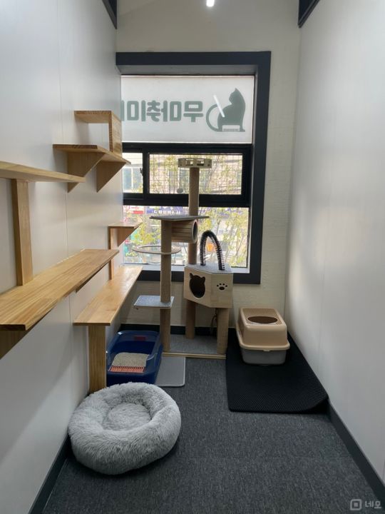 자양동 구의역 역세권, 시설, 인테리어 완비, 단골 많은 애견미용, 호텔 매물의 4번째 사진