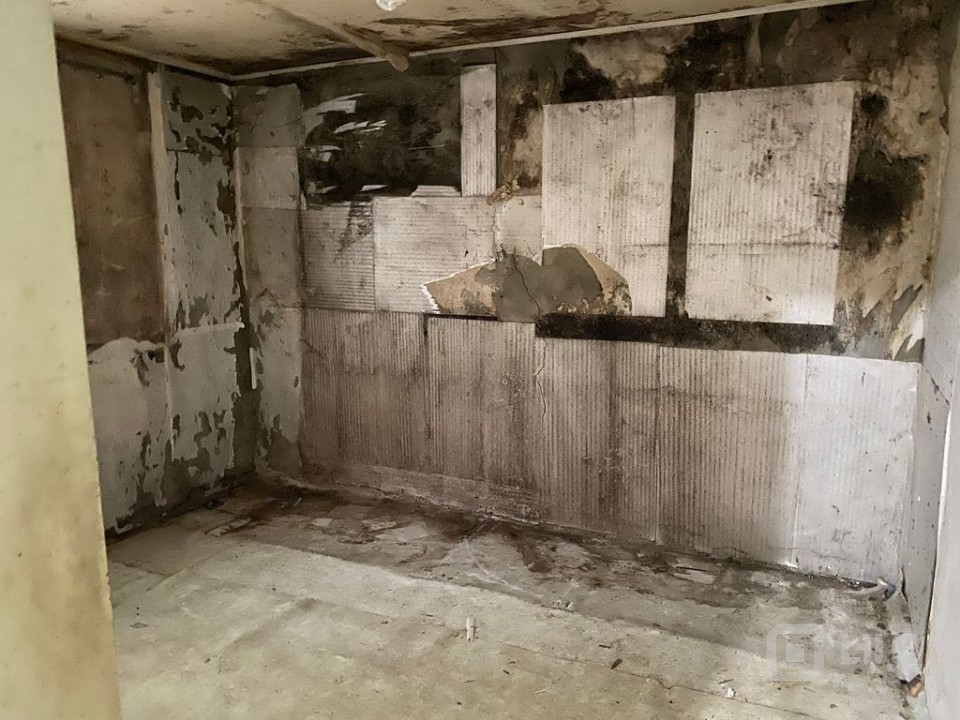 마당에 나무가 있는 단독주택형 상가입니다. 매물의 5번째 사진