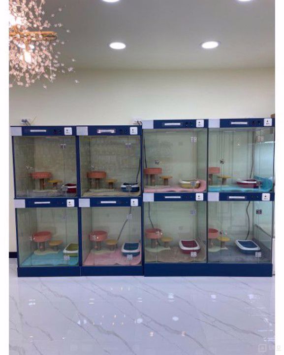 대로변 상권, 주목도 높은 원동 1층상가 매물의 4번째 사진