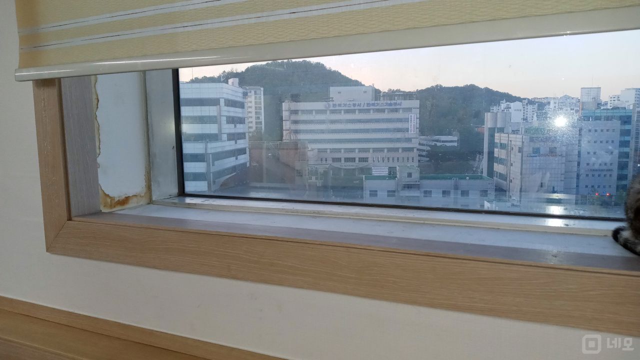 등촌동 사거리 코너 위치, 접근성 우수한 사무실 매물의 3번째 사진