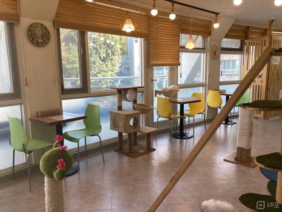 역삼동 주택가 단지 인테리어 좋은 고양이 카페 매물의 7번째 사진
