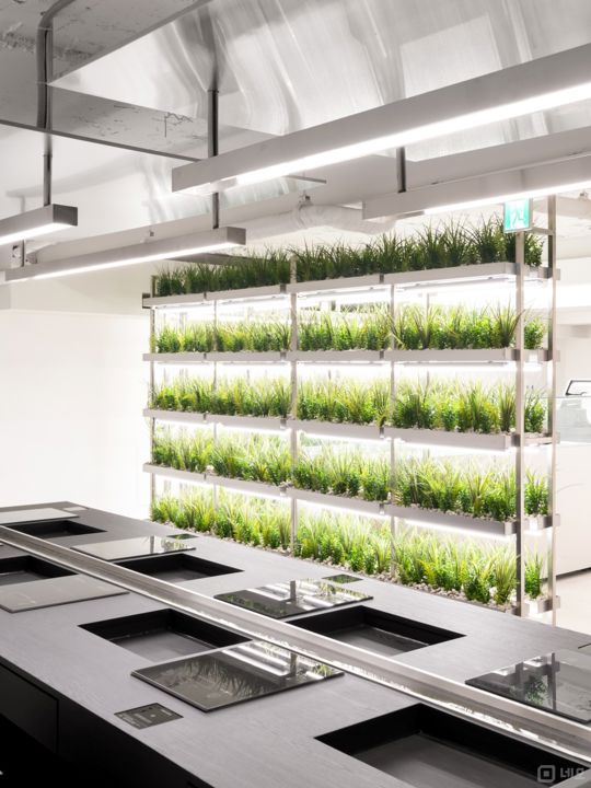 연남동 홍대입구역 역세권, SNS 핫플레이스인 샤브샤브 전문점 매물의 2번째 사진