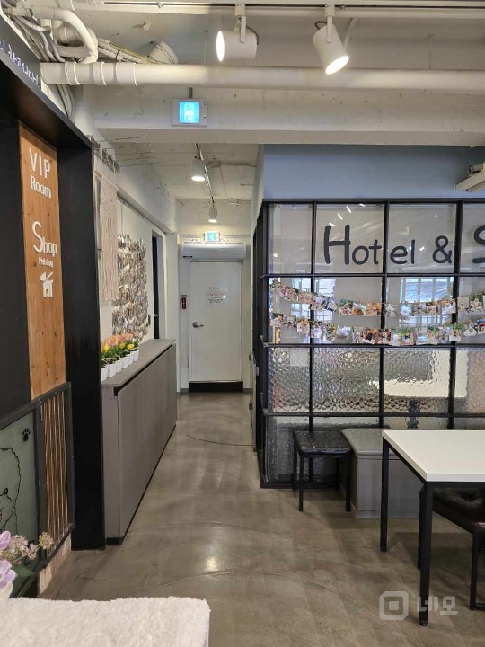 강남권 최고 애견카페(호텔.놀이방.미용)!! 매물의 8번째 사진