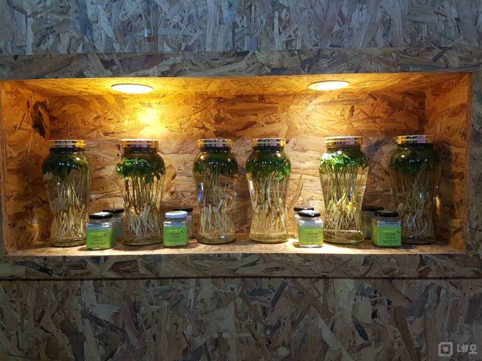 시설 집기 포함, 노하우 전수 수유동 수경재배 매물의 5번째 사진