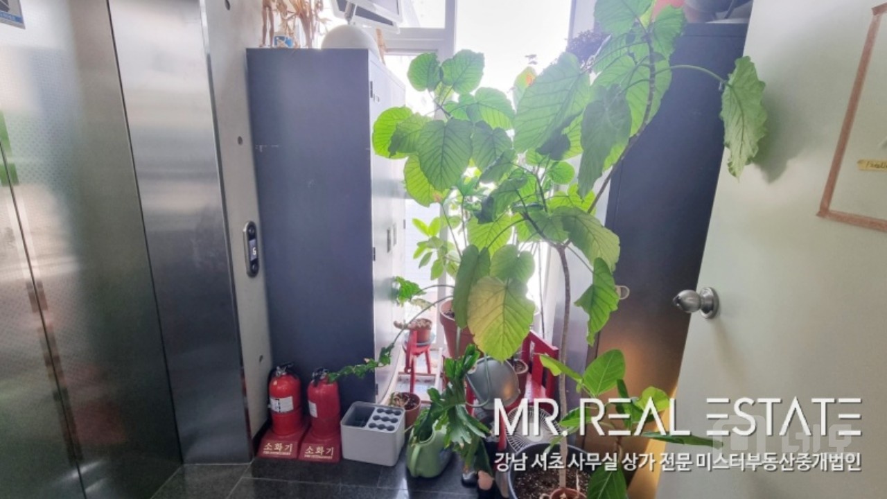 압구정역 인근.3면통창 채광우수.내외관 최상급 인테리어 매물의 7번째 사진